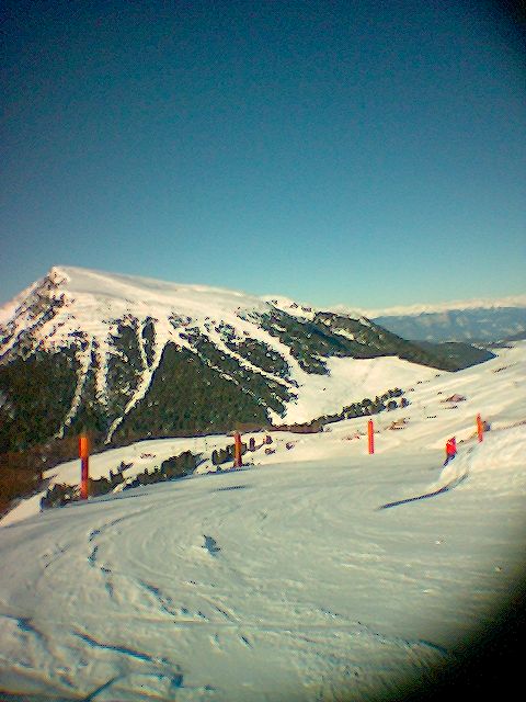 image_00061.jpg